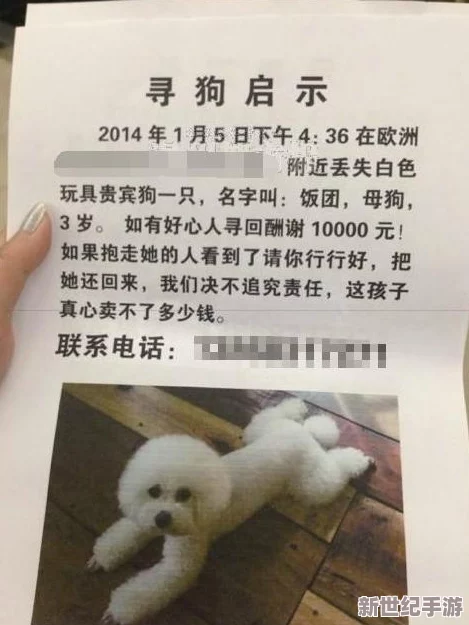 迷失于一小时人生？高效寻路策略：重识方向，巧用基地标记防走失全攻略